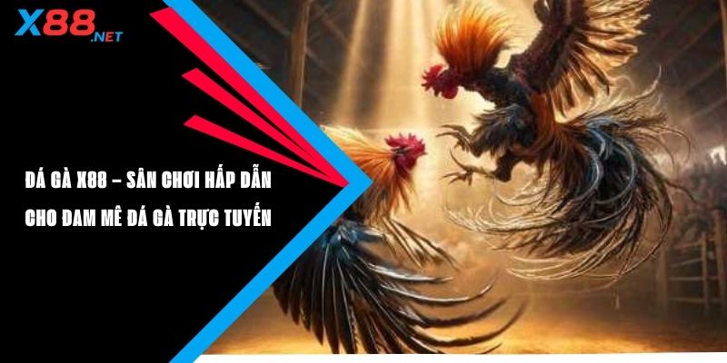 Đá Gà X88 – Sân Chơi Trực Tuyến Hấp Dẫn